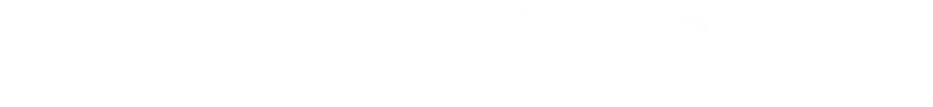 IE Logo